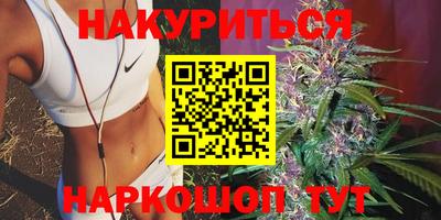 МДПВ Моздок