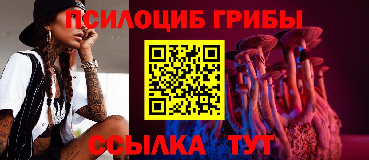 Среднеуральск  Псилоцибиновые грибы Cubensis  Вход с VPN 